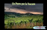 Un Paseo Por La Toscana