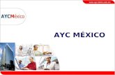 Ayc Mexico True Ip