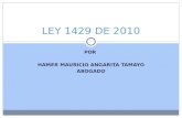 Presentacion ley 1429 de 2010