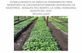 HONDURAS COURSE - Establecimiento de parcelas permanentes para monitoreo de crecimiento: bosques Pico Bonito / Ricardo Lujan