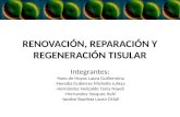 Equipo9 renovación, reparación y regeneración tisular