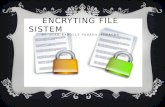Encryting file sistem