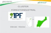 Cluster Forestoindustrial