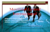Movilidad laboral internacional. Máster GPP de la UDC.