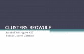 Clusters Beowulf