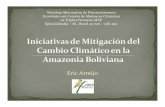 Iniciativas de mitigación del cambio climático en la Amazonía boliviana