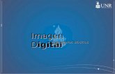 Conceptos básicos de la Imagen Digital
