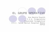 El grupo-operativo (2)