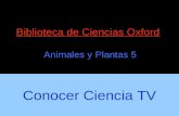 Conocer Ciencia - Animales: Reptiles y Aves - Biologia 5