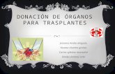Donación de órganos para trasplantes