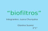 Biofiltros 2011 3º1º