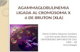 Agammaglobulinemia De Bruton Ligada A X