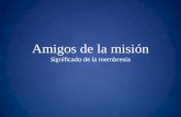 Amigos De La Mision Sesion 1