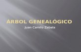 árbol genealógico Juan Zabala