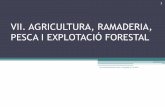 7. agricultura, ramaderia, pesca i explotaci³ forestal
