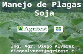 Plagas en soja  Diego Alvarez (agritest)