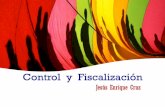 Control y fiscalizacion  2012