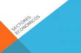 Sectores econ³micos 1