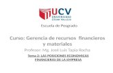 Curso de Gerencia de Recursos Financieros y Materiales - Jose Luis Tapia Rocha