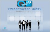 Presentación audiQ, software para el control de calidad en firmas de auditoría