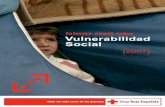 Informe vulnerabilidad 2007_es
