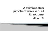Actividades productivas del uruguay 4to.  B 2013