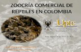 Zoocría comercial de reptiles en colombia