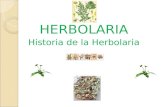 Historia de Medicina Herbolaria