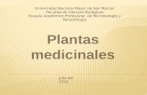 Plantas medicinales. grupo 5