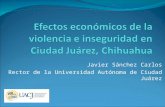 08-03-11 Efectos Economicos de la violencia e inseguridad en Ciudad Juarez - Javier Sanchez Carlos