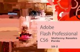 Adobe flash cs6