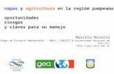 Napas y Agricultura en la region pampeana: oportunidades, riesgos y claves para su manejo- Marcelo Nosetto