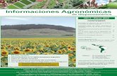 Informaciones Agronomicas