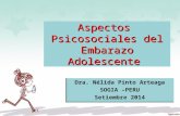 ASPECTOS PSICOSOCIALES DEL EMBARAZO ADOLESCENTE