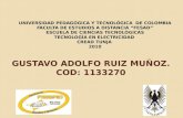 Informe Tecnico + Solicitud De Patente