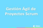 Gestión Ágil de Proyectos Scrum - Rosario - Julio-2010
