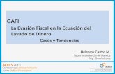Mesas Redondas D - Gafi Evasion-Fiscal