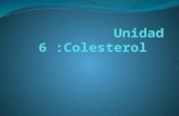 Colesterol bioquimica