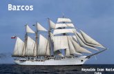 Barcos: "Historia, Tipos y Mas"