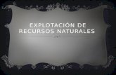 Explotaci³n de recursos naturales