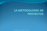 Proyectos. Metodología. Profesor: Fernando Gómez Jiménez