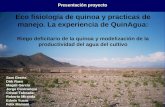 Riego deficitario de la Quinoa y modelización de la productividad del agua del cultivo _ GEERTS Sam y et al. - RM