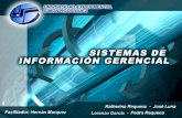 Sistema de informacion gerencial (SIG)