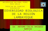 Diversidad biologica de la region lambayeque