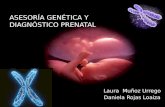 Asesoría genética y diagnóstico prenatal