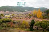 Fin de semana en Bogarra (otoño)