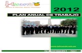 Plan anual-de-trabajo-2012