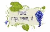 Poemes: verema,vinya i vi