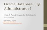 Objetos de Esquema de Oracle Database Z052-09