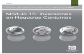 15 INVERSIONES EN NEGOCIOS CONJUNTOS